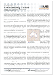 screencap-feature-benoit-tissue-geometry