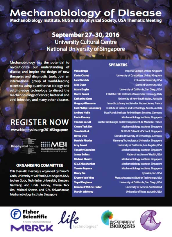 2016-mechanobiology-of-disease-nus-biophys