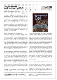 2015dec-adhesion-abc-sheetz-screencap