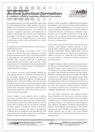 2015sep-active-junction-formation-biswas