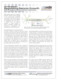 2015sep-regulating-neuron-growth-low-screencap