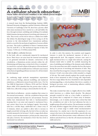 2016-screencap-yan-jie-shock-absorber