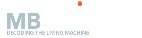 logo-nus-mbi-white-trans-h42v2-half-logo