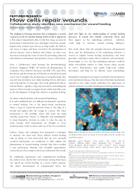 2014_benoitfeature_screencap