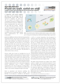 2015-slider-fluid-on-soft-ladoux-screencap