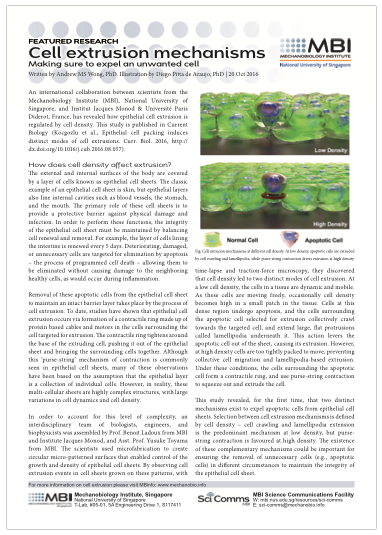 2016-cell-extrusion-mechanisms-bl-yt-screencap