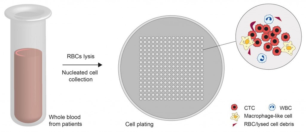 ctcs-feature-image-1024x444