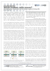 screencaphiratapressrelease