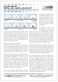 screencappdf-why-do-cells-stretch
