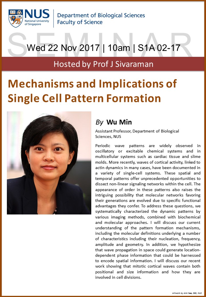 Mechanisms and Implications of Single Cell Pattern Formation by A/Prof ...