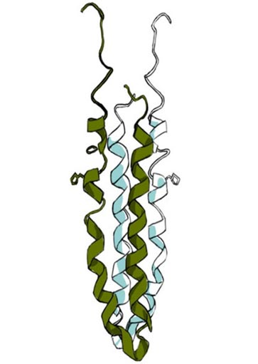 carousel-363×511-kenney-3