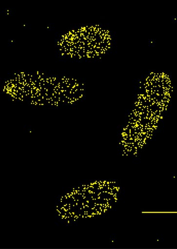 carousel-363×511-kenney-4