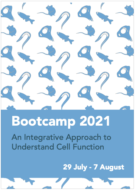 2021 Bootcamp Programme