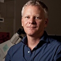 Adj Assoc Prof Gregory JEDD