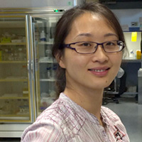 Asst Prof ZHANG Dan