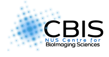 NUS CBIS